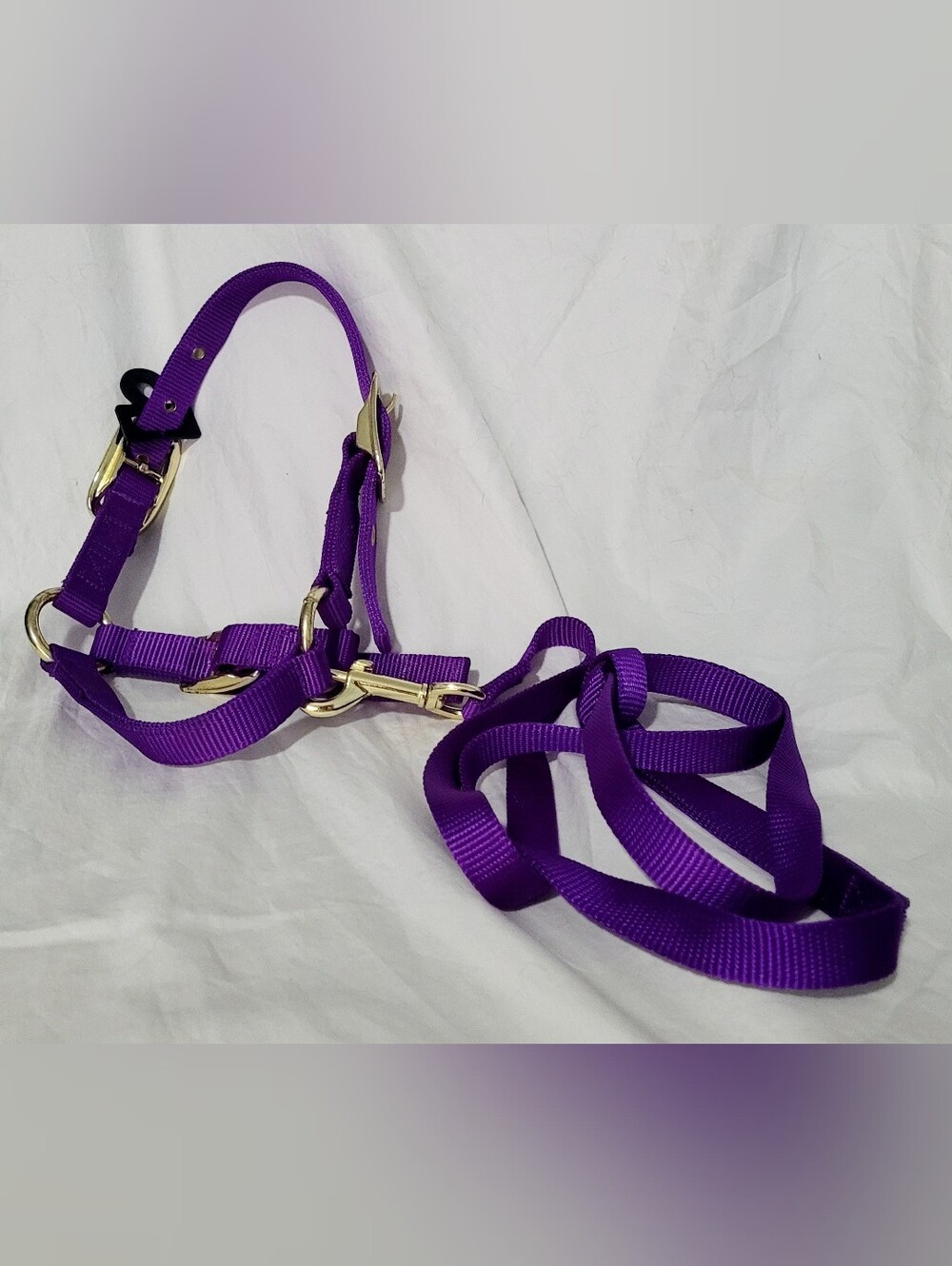 Valhoma Purple Nylon Sheep Halter w/ Adjustable Chin & 5' Lead
